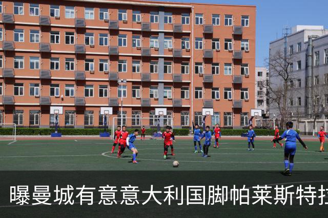 曝曼城有意意大利国脚帕莱斯特拉 若加盟将与努涅斯竞争